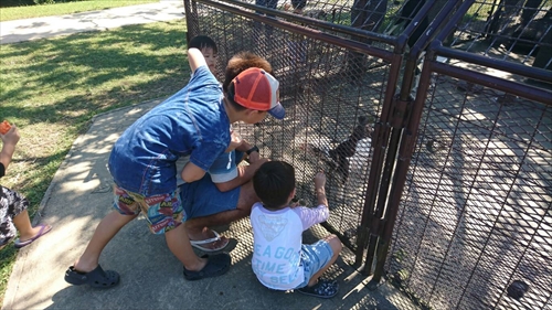 21日・ビオスの丘からの東南植物楽園！