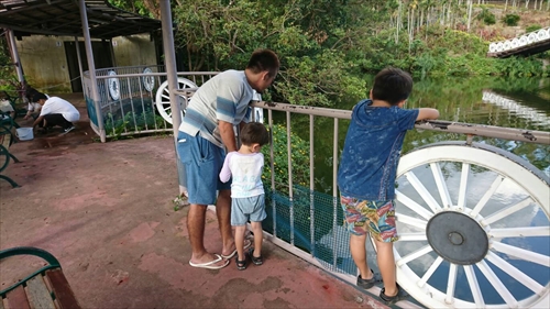 21日・ビオスの丘からの東南植物楽園！