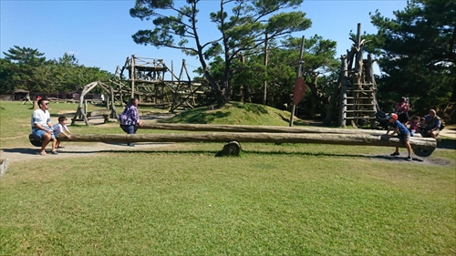21日・ビオスの丘からの東南植物楽園！