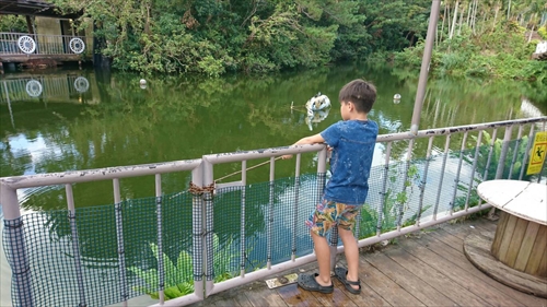 21日・ビオスの丘からの東南植物楽園！