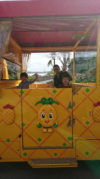 19日・名護パイ、オキフル、古宇利オーシャンからの夜の美ら海探検!