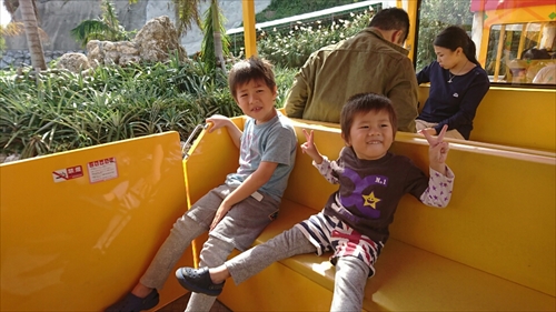 19日・名護パイ、オキフル、古宇利オーシャンからの夜の美ら海探検!