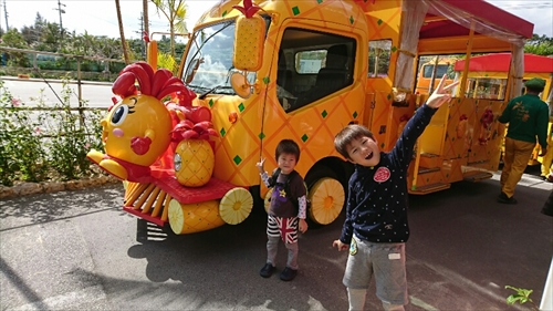 19日・名護パイ、オキフル、古宇利オーシャンからの夜の美ら海探検!