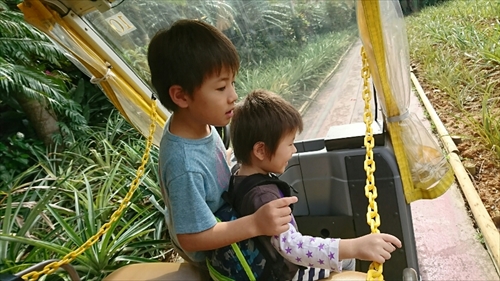 19日・名護パイ、オキフル、古宇利オーシャンからの夜の美ら海探検!