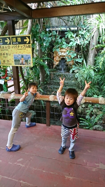 19日・名護パイ、オキフル、古宇利オーシャンからの夜の美ら海探検!