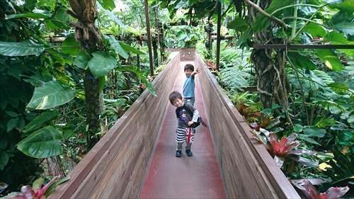 19日・名護パイ、オキフル、古宇利オーシャンからの夜の美ら海探検!