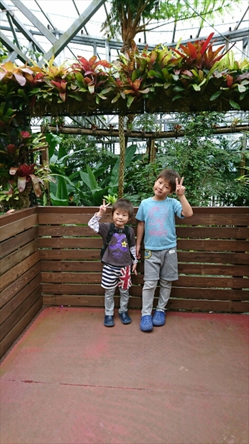 19日・名護パイ、オキフル、古宇利オーシャンからの夜の美ら海探検!