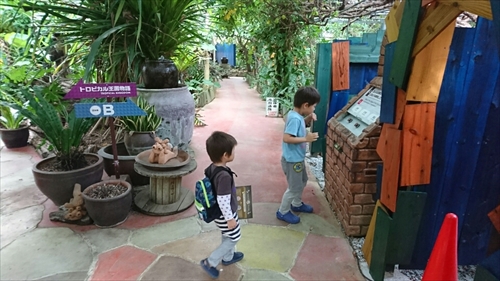 19日・名護パイ、オキフル、古宇利オーシャンからの夜の美ら海探検!