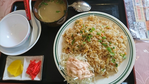 25日・沖縄観光、GODAC、ネイチャー未来館、東南植物楽園!