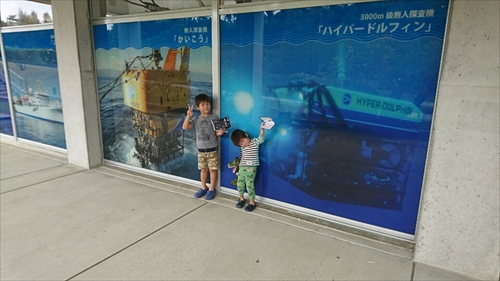 25日・沖縄観光、GODAC、ネイチャー未来館、東南植物楽園!