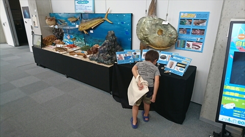 25日・沖縄観光、GODAC、ネイチャー未来館、東南植物楽園!