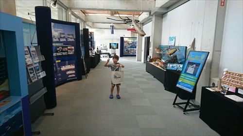 25日・沖縄観光、GODAC、ネイチャー未来館、東南植物楽園!