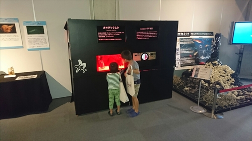 25日・沖縄観光、GODAC、ネイチャー未来館、東南植物楽園!