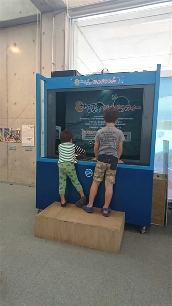 25日・沖縄観光、GODAC、ネイチャー未来館、東南植物楽園!