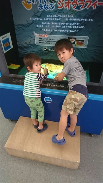 25日・沖縄観光、GODAC、ネイチャー未来館、東南植物楽園!