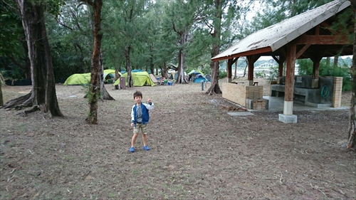 25日・沖縄観光、GODAC、ネイチャー未来館、東南植物楽園!