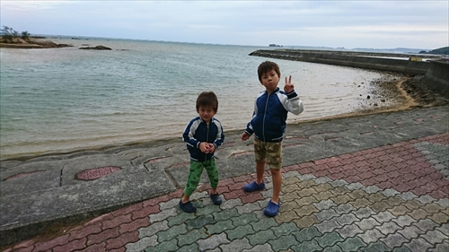 25日・沖縄観光、GODAC、ネイチャー未来館、東南植物楽園!