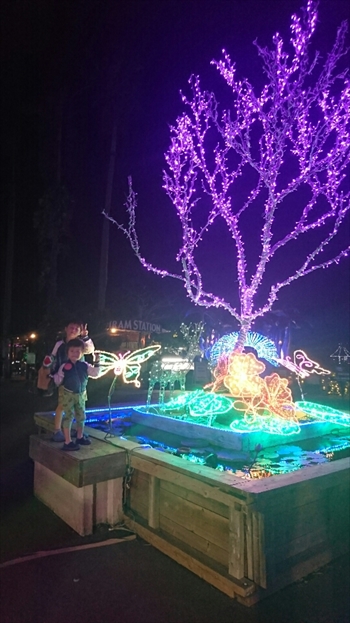 25日・沖縄観光、GODAC、ネイチャー未来館、東南植物楽園!