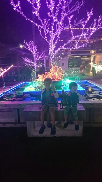 25日・沖縄観光、GODAC、ネイチャー未来館、東南植物楽園!