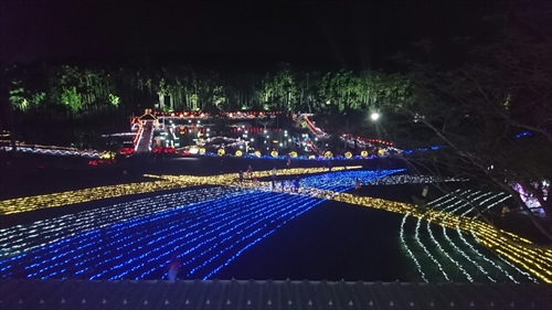 25日・沖縄観光、GODAC、ネイチャー未来館、東南植物楽園!