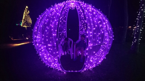 25日・沖縄観光、GODAC、ネイチャー未来館、東南植物楽園!