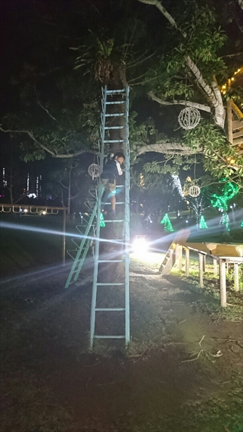 25日・沖縄観光、GODAC、ネイチャー未来館、東南植物楽園!