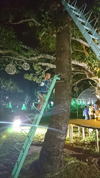 25日・沖縄観光、GODAC、ネイチャー未来館、東南植物楽園!