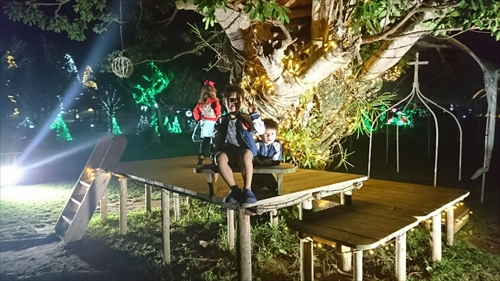 25日・沖縄観光、GODAC、ネイチャー未来館、東南植物楽園!