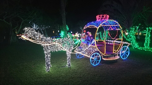 25日・沖縄観光、GODAC、ネイチャー未来館、東南植物楽園!