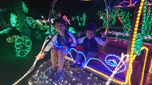 25日・沖縄観光、GODAC、ネイチャー未来館、東南植物楽園!