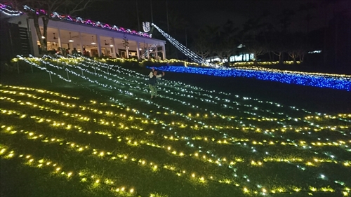 25日・沖縄観光、GODAC、ネイチャー未来館、東南植物楽園!