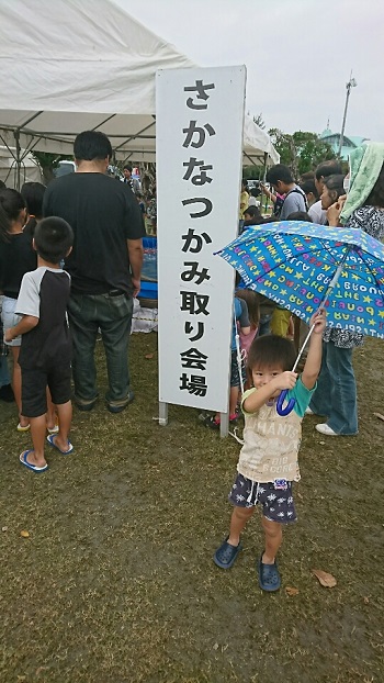 26���E�X��p�Y�ƍՂ�ɁI