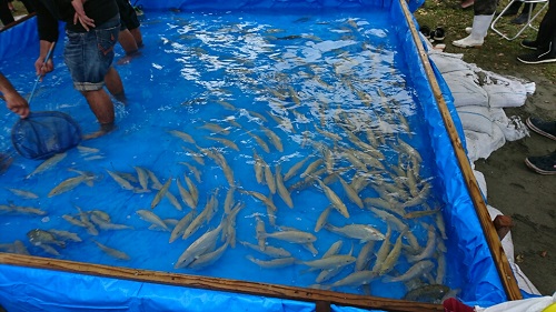 26���E�X��p�Y�ƍՂ�ɁI