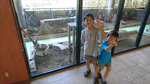 2日・ネオパークとシュノーケル！
