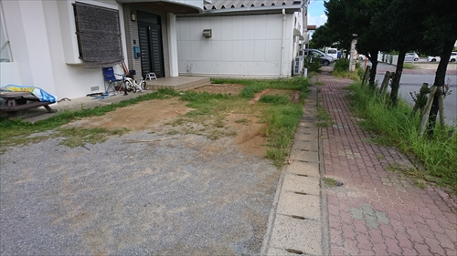 6日 自作パラライザーが最高でした