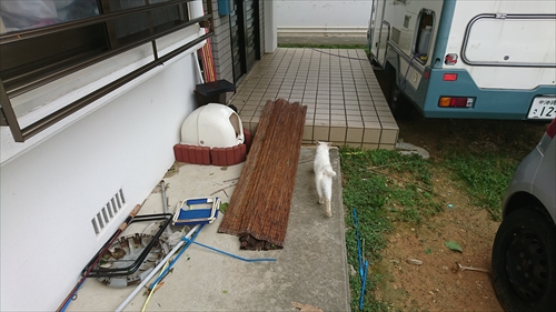 30日・過去最大級の台風の被害が甚大！
