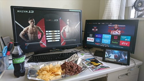 30日・RIZIN13観戦とニャーコと次男！