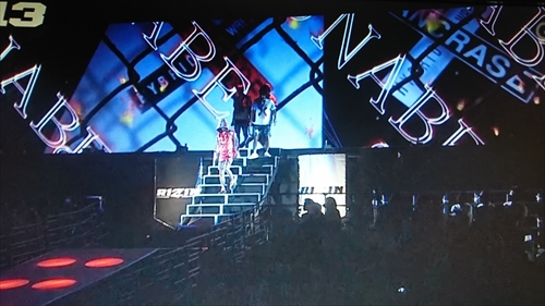 30日・RIZIN13観戦とニャーコと次男！