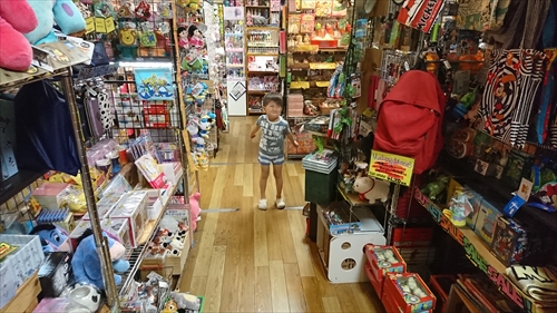 2日・次男と台風の後始末一式！