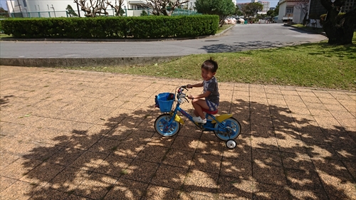 2日・次男と台風の後始末一式！