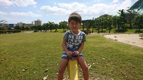2日・次男と台風の後始末一式！