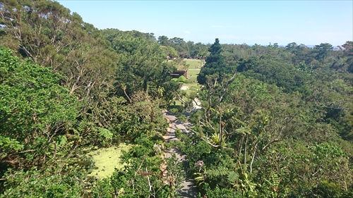 21日・ビオスの丘からの東南植物楽園！