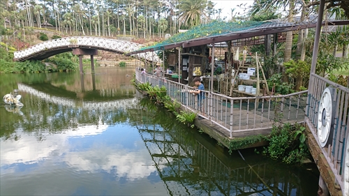 21日・ビオスの丘からの東南植物楽園！
