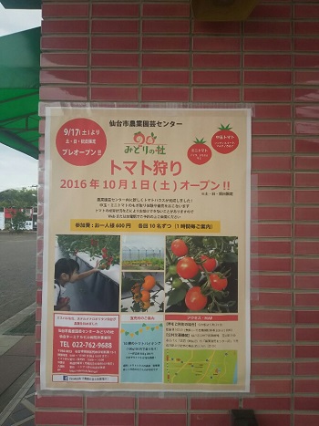 12日・仙台市農業園芸センターでトマト狩り！