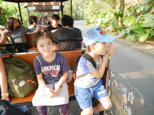 26Ep5ځIks͍LI(Rs[)